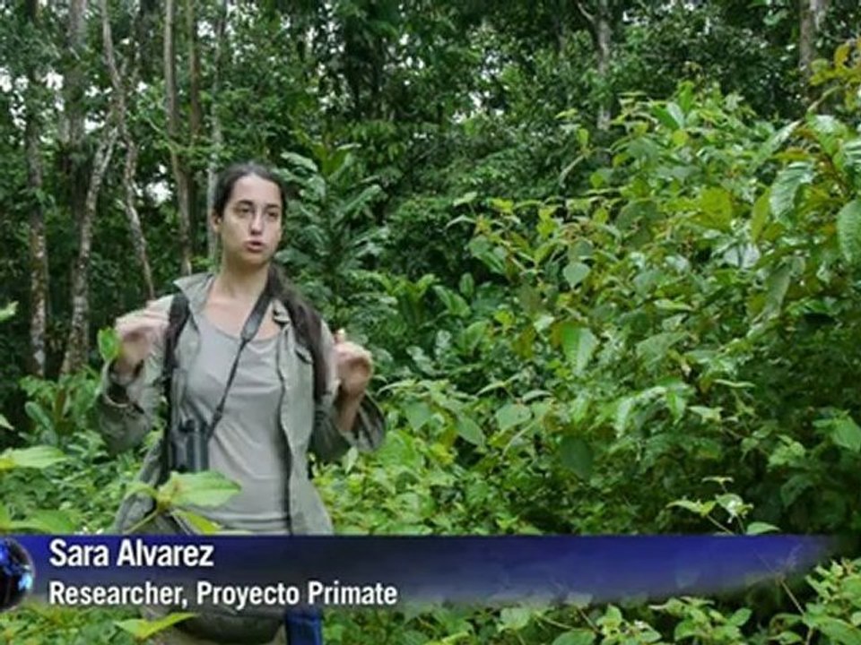 Ecuadorian Amazon under threat from oil drilling