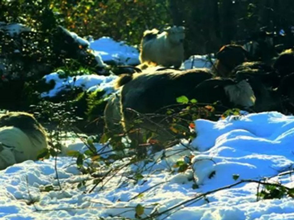 ÖMÜR ERDOĞAN KARADENİZ FOTOĞRAFLARI,KAZIM KOYUNCU