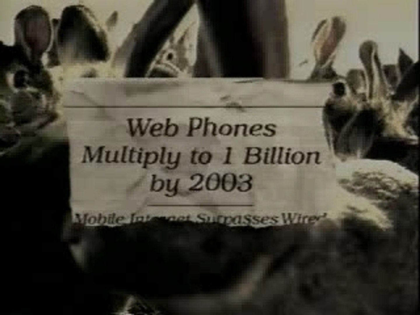 Accenture Rabbits