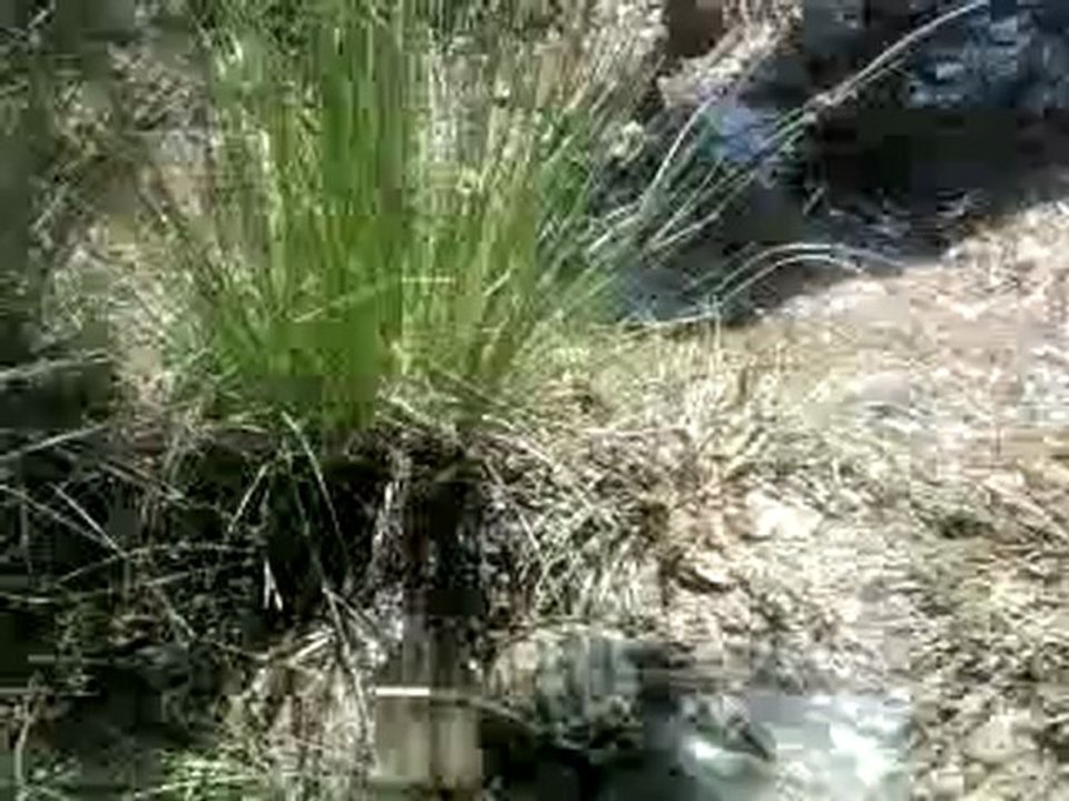 Çokrak Köyü Kale (Çeşmeden)