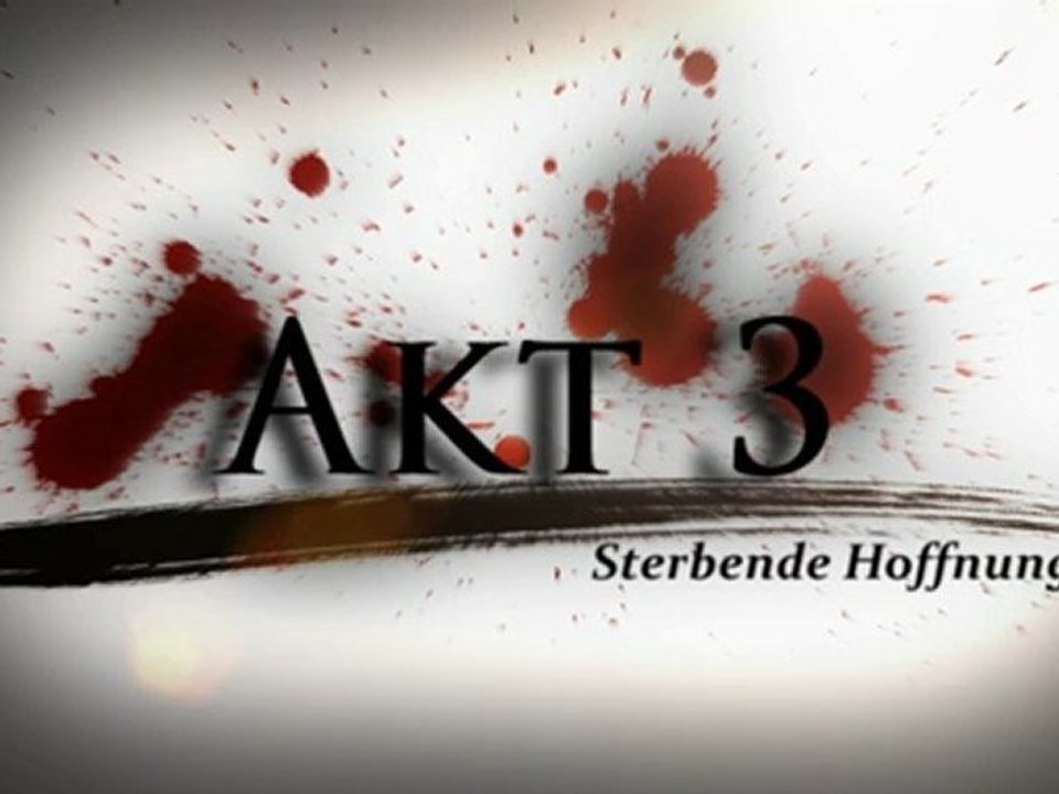 DSH Akt 3