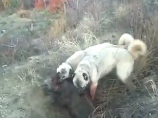 10151246151142280_62101