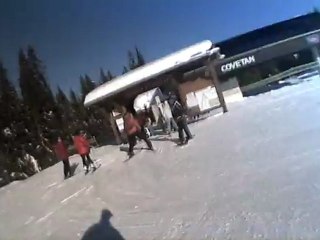 sangliers sans halte