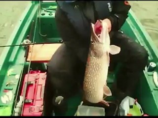 Les brochets millénaires - Lac de Bambois