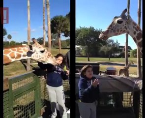 Ana Karolina Lannes passeia em Orlando com os pais