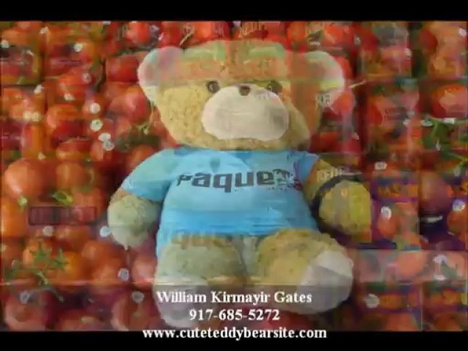 Teddy Bear Stories Books Teddy Bears