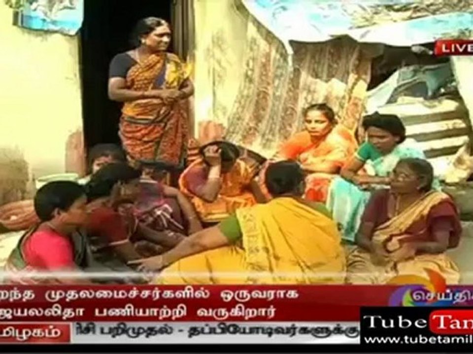 polimernews
