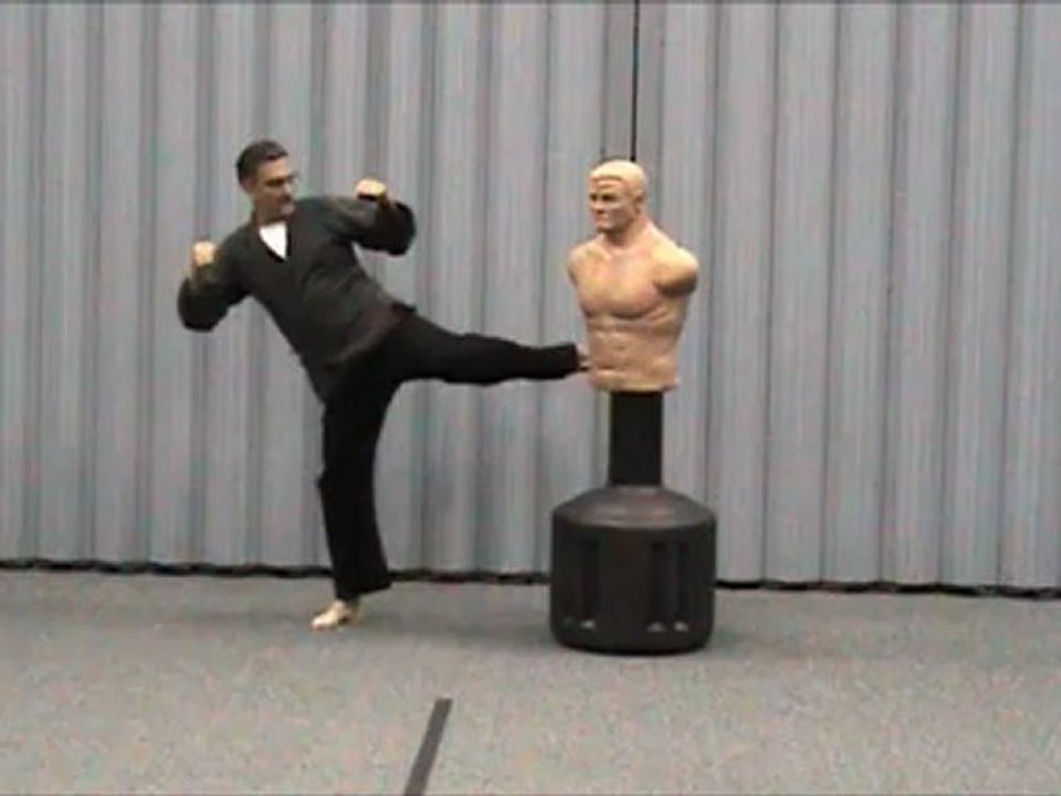 Saykoshta Seikoshta Karate with Larry Love kicks 1