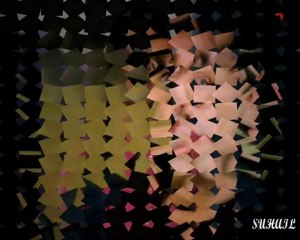 Ana Paula y Rogelio....EVIDENCIAS