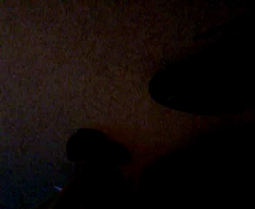House shoes