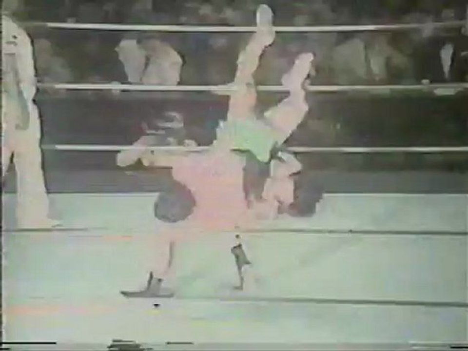 FujinamiVsHoshino10-5-79--Seoul