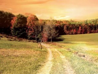 If I Could Only Tell...