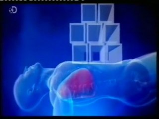 Resistencia al aplastamiento: Eduardo Aramayo