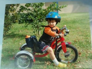 Schwinn Roadster 12 Tricycle  - REVIEW AND BEST PRICE