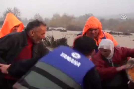 Ağaçta mahsur kaldılar