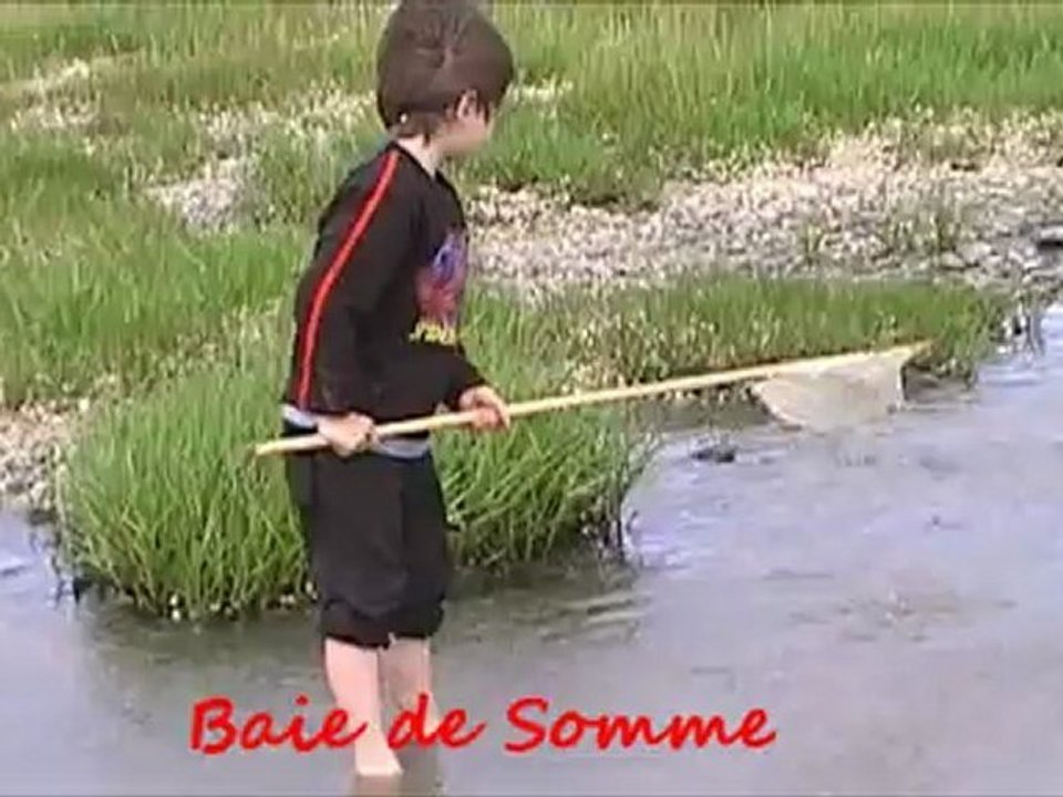 juillet 18, 2009