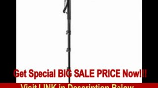 [BEST BUY] Manfrotto 561BHDV Video Fluid Monopod with Head Replaces 561B