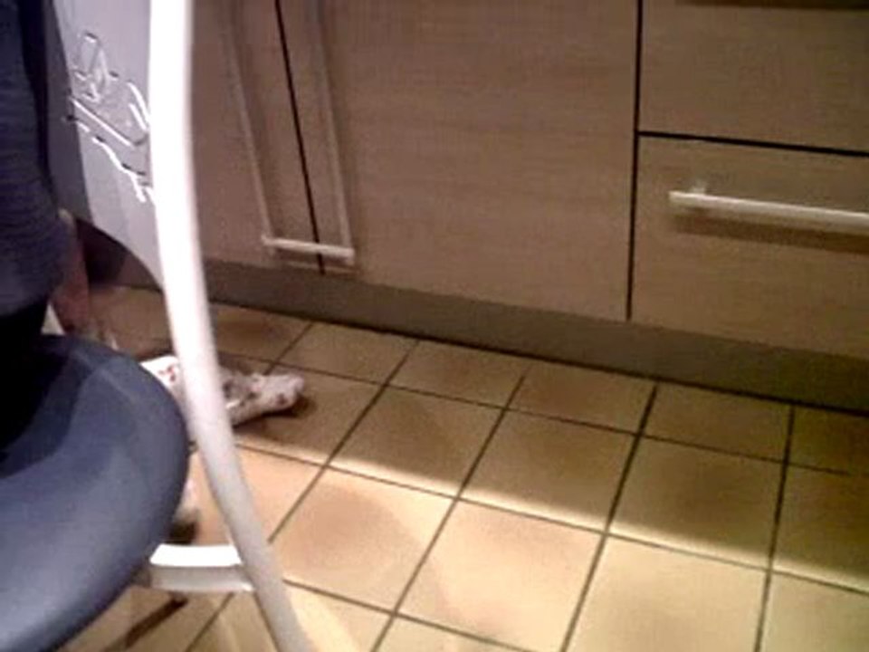 PL sort de sa chaise