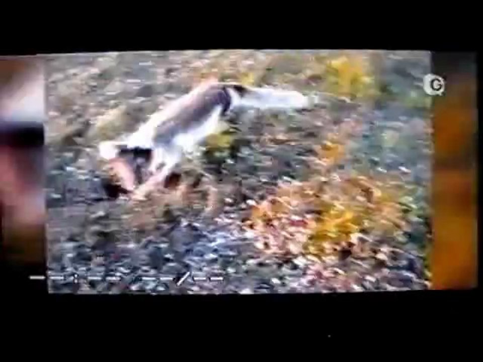 Télé Grenoble 08112012