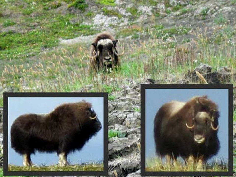 La Radio Plus 21112012