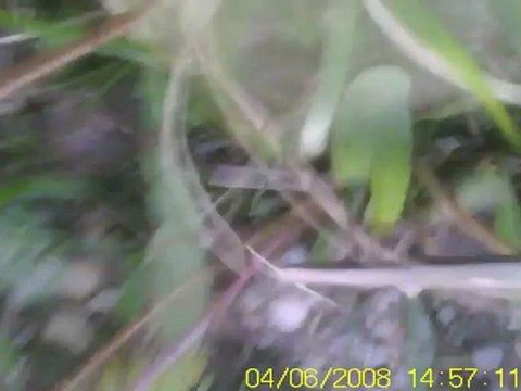 pilote voiture rémi ,passager et pilote quadri en immersion cédric video03