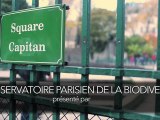 L'Observatoire Parisien de la Biodiversité avec Fabienne Giboudeaux