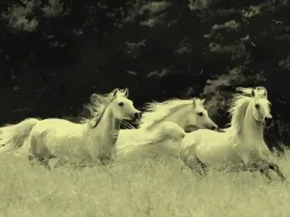 Ostatni Taniec - Nieznany Wykonawca