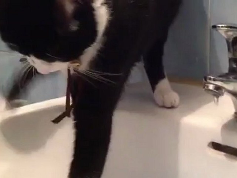 Sa-Bou and the Lavabo (1)