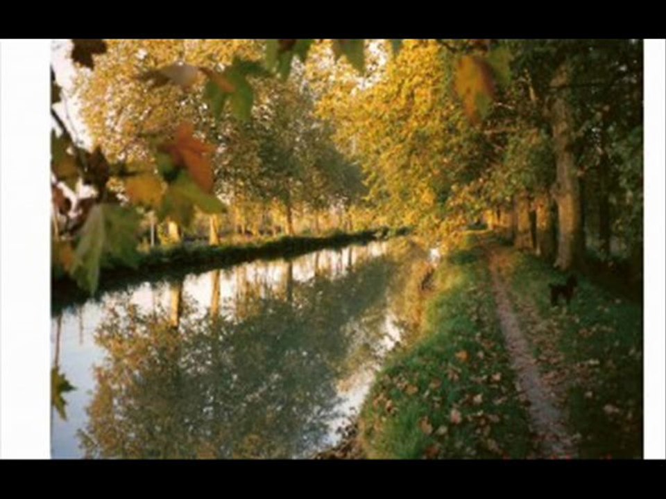 Les feuilles mortes.
