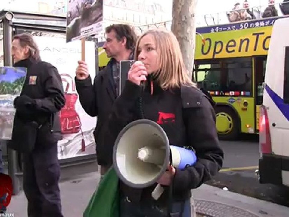 Rassemblement anti vivisection devant les agences d'Air France (01.12.2012)