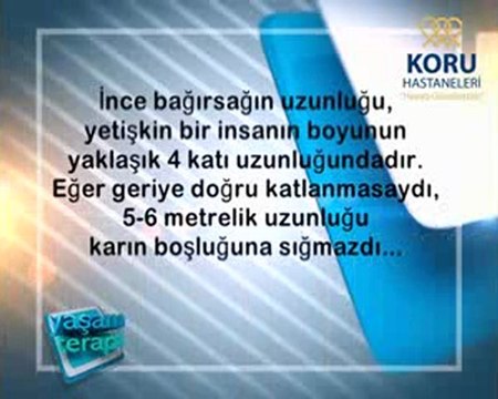 Prostat nedir Prostat kanseri belirtileri ve tedavi yöntemleri (koruhastanesi.com)