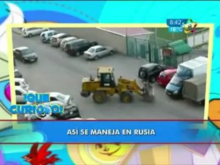 ¡Que curioso! en la Mañana es Nuestra