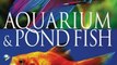 Crafts Book Review: Encyclopedia of Aquarium & Pond Fish by David Alderton
