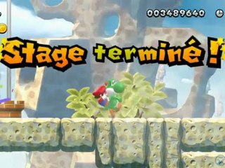 Soluce Mario Bros. U : Fuzzy en folie (6-1)