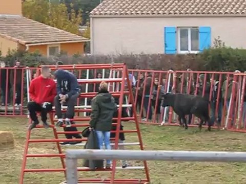 encierro d 'hiver 2012 codognan