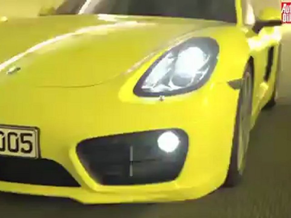 Nuevo Cayman 2013