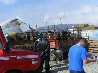 Kurban Pazarı 2012 Karacabey