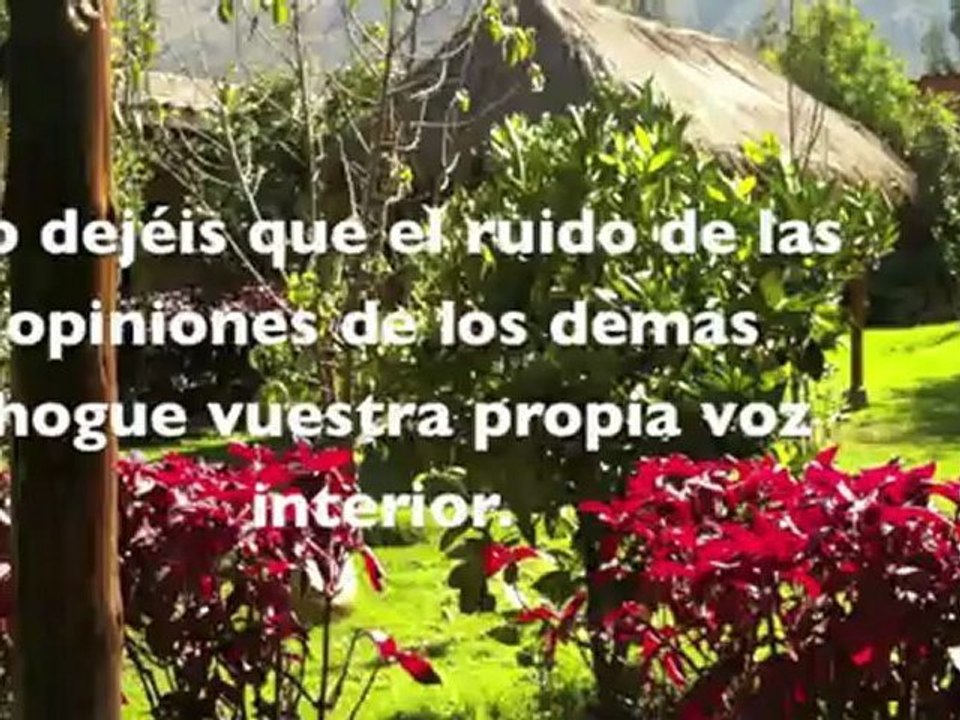 Homenaje a Steve Jobs