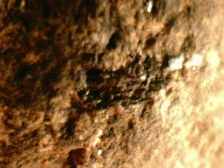 gabbros , dunites, basaltes, , olivines , feldspaths, magnétites, augites, kimberlites, diamants,