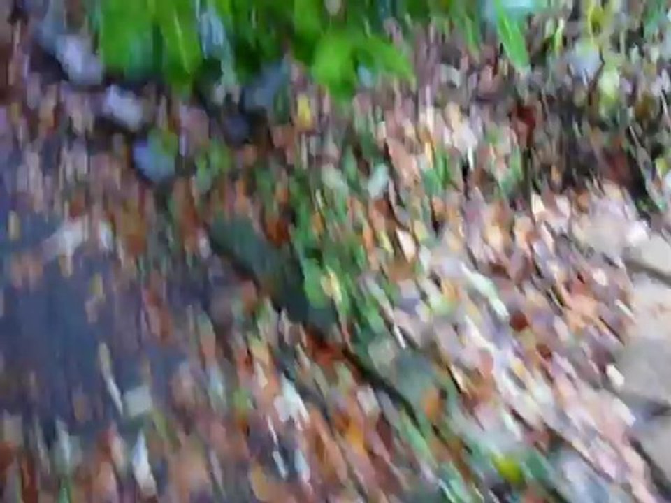 La vague de froid 2012 2013 est arrivée!!