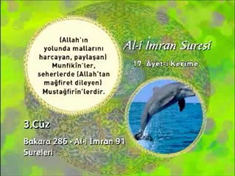 Ali imran Suresi 18. Ayet-i Okunuşu ve Meali Okyay Derneği