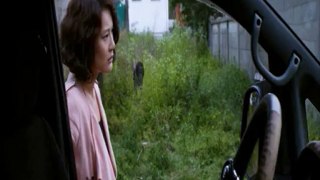 A Lethal Wolf-Dog Train to Killed Human - Howling (Korean Movie)