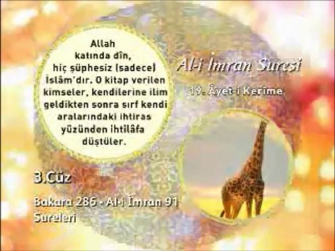 Ali imran Suresi 19. Ayet-i Okunuşu ve Meali Okyay Derneği