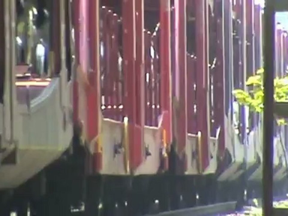 Züge bei Leubsdorf - Bad Hönningen, Northrail Mak, MRCE 189, DBAG 189, 145, 151, 3x 185, 2x 143