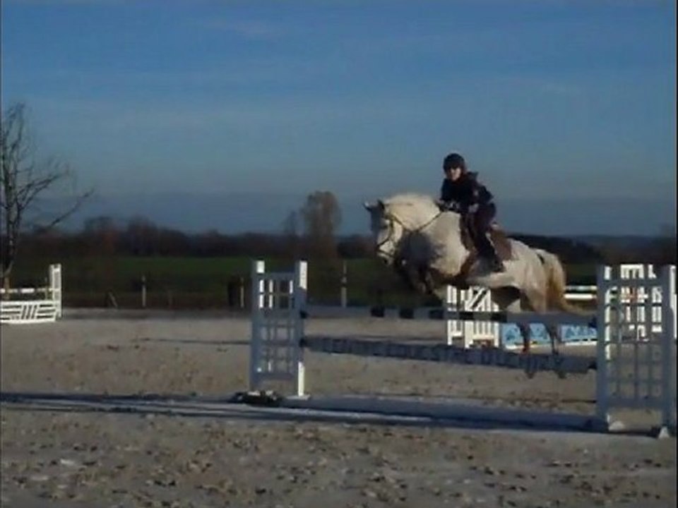 Essais chevaux