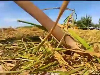 Espai Terra - dimarts 30 d'octubre