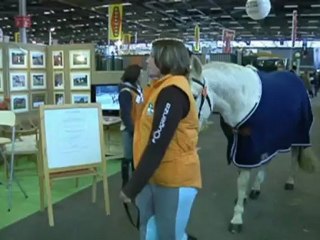 Les éleveurs de chevaux en détresse