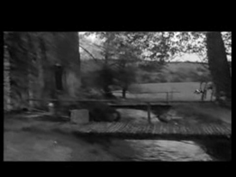 georges brassens - fleur bleue + eau