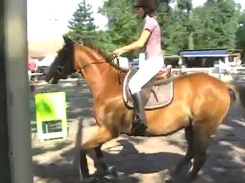 Quatar du loup Montélimar 2012 Prepa 1m