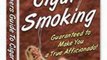 Crafts Book Review: The Beginners Guide to Cigar Smoking by David Sabot